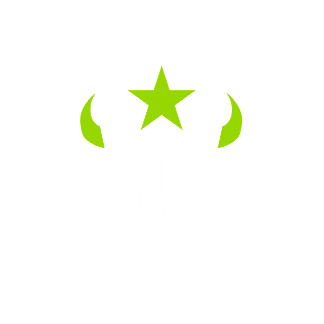 Houston Outlaws